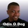 Odis O Dog